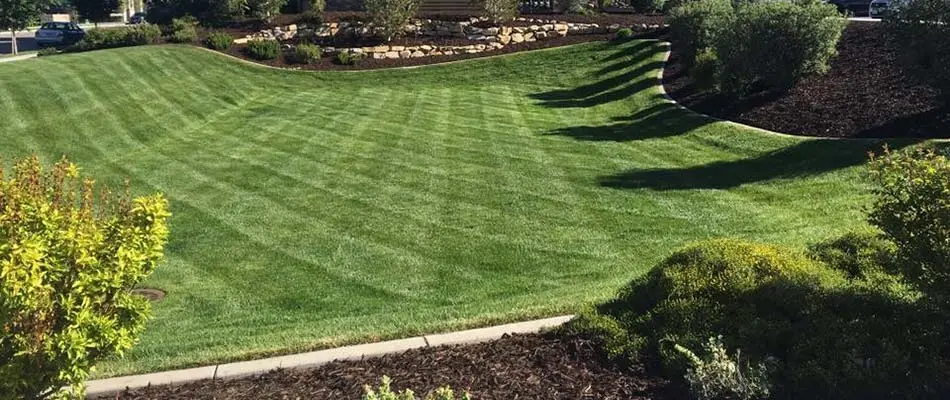 Healthy, green, mowed lawn and edged landscaping beds with fresh mulch in Lehigh, UT.