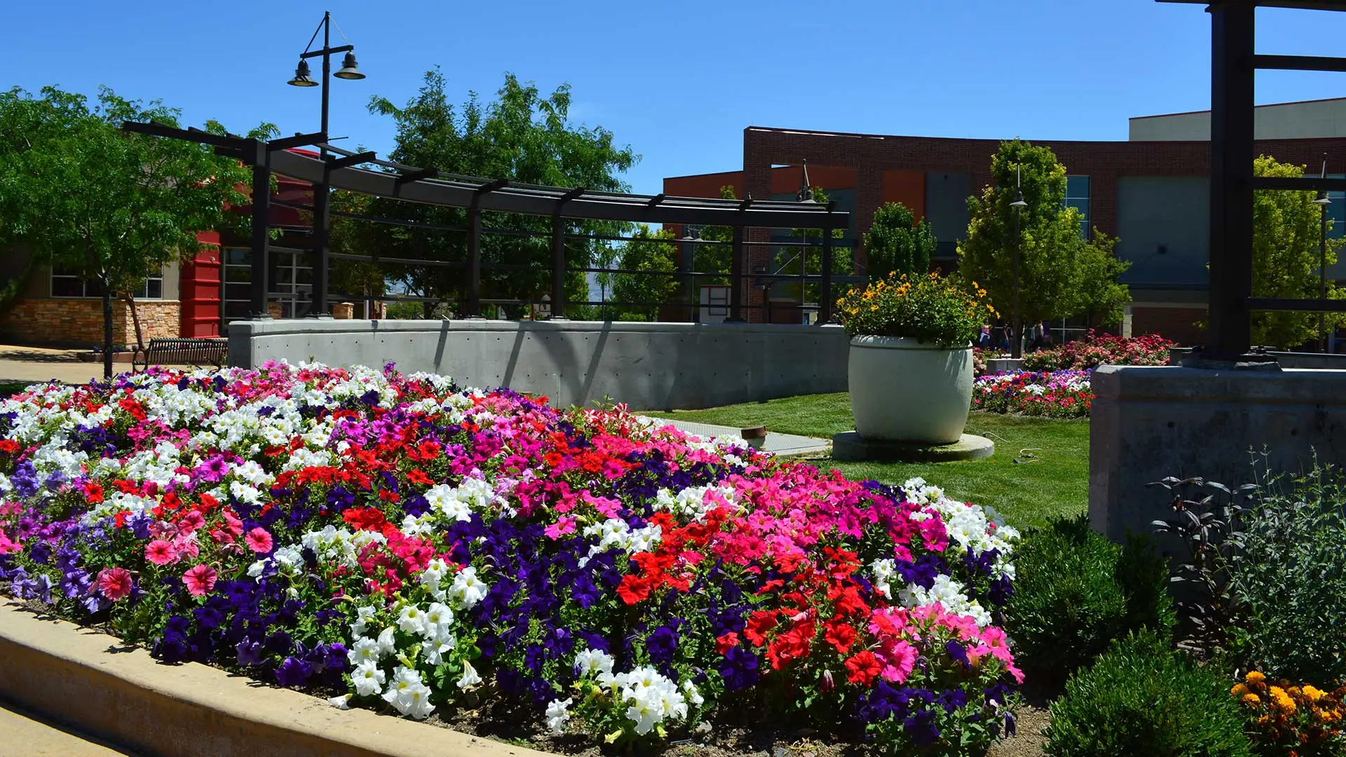 Commercial landscaping done for a business in Draper with annual flowers.