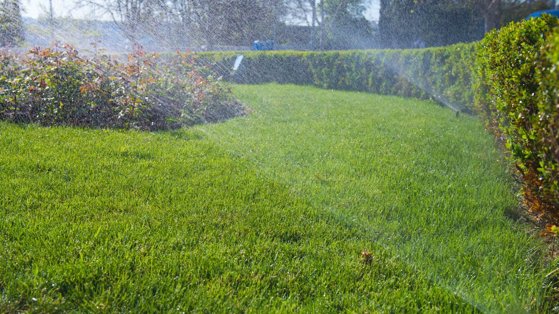 Close up of a sprinkler head we are testing as part of our irrigation services.