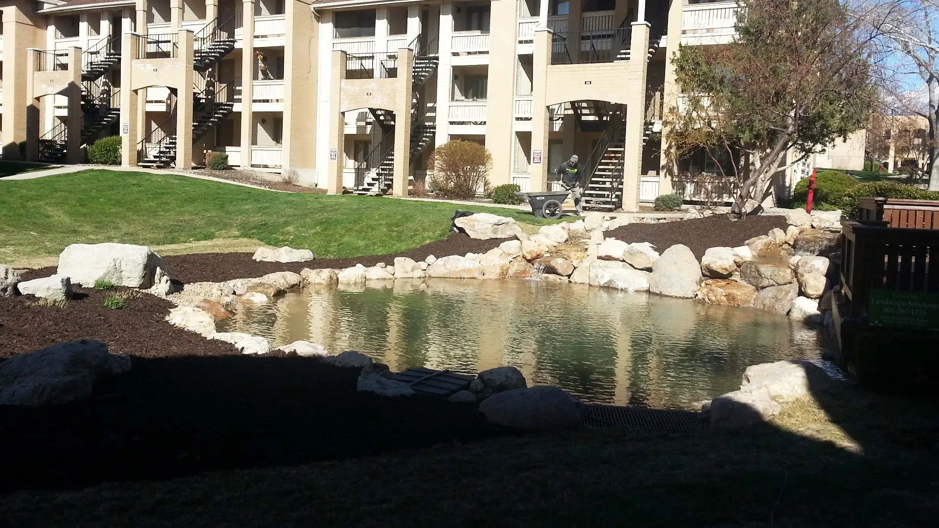 Landscaping around a pond at an apartment complex.