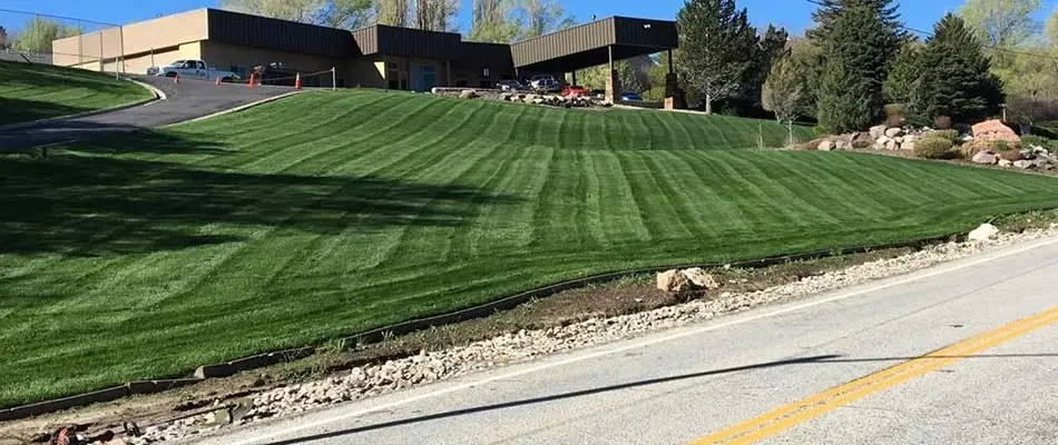 A large commercial property in Draper that was mowed using the stripping technique.