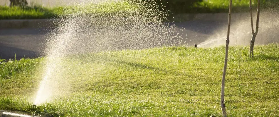 Our client's irrigation system that we are testing for proper watering of the lawn in Draper..