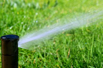 Close up of a sprinkler head that is watering a clients lawn.